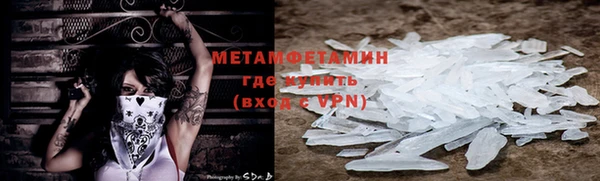 каннабис Ессентукская