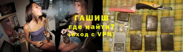 каннабис Ессентукская