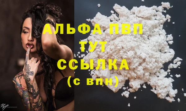 каннабис Ессентукская