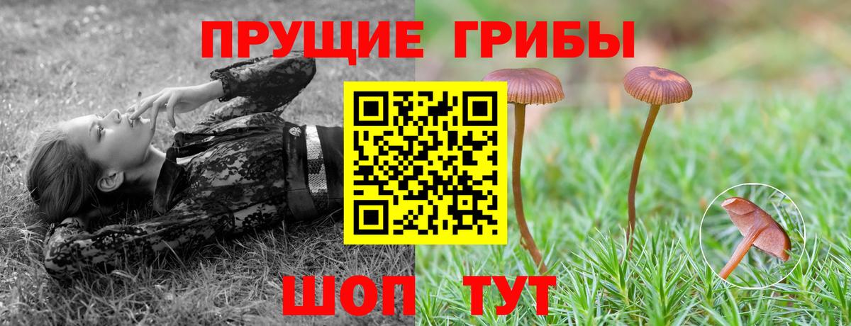 Галлюциногенные грибы Magic Shrooms  Вход с VPN  Россия 
